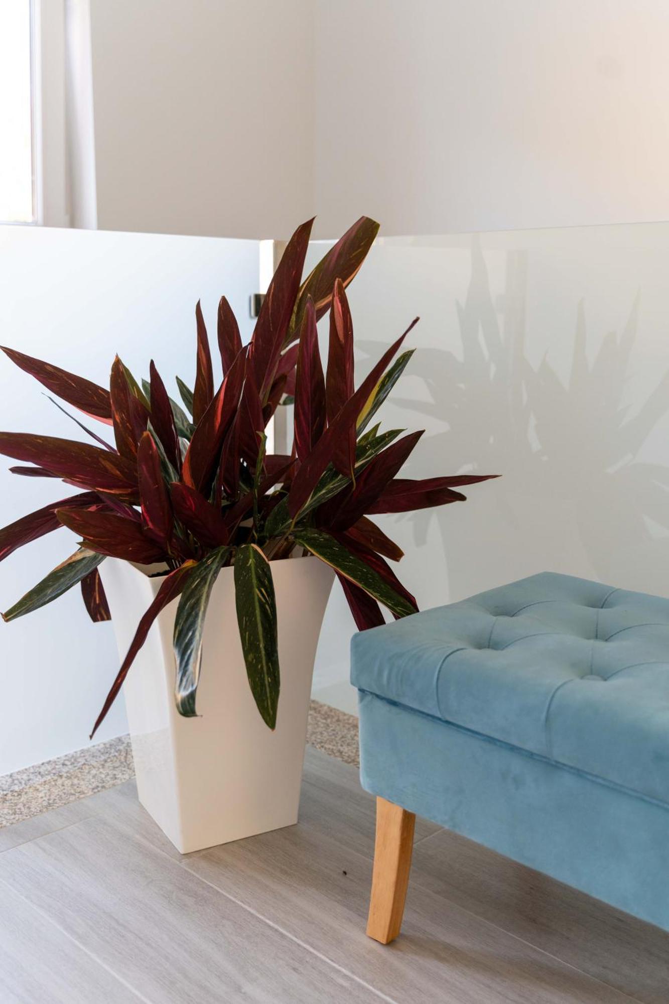 Guest House Taiao Valenca Bagian luar foto
